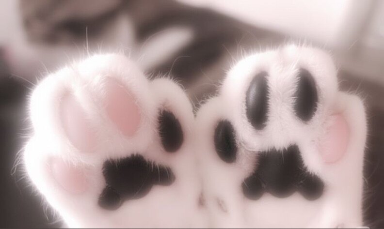 π¬πππππ β‘ banner image