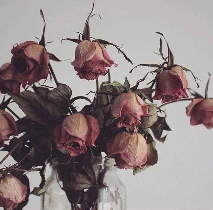 Charlie Rose banner image