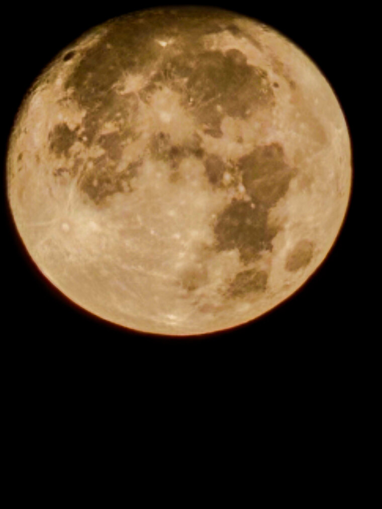 Adam banner image