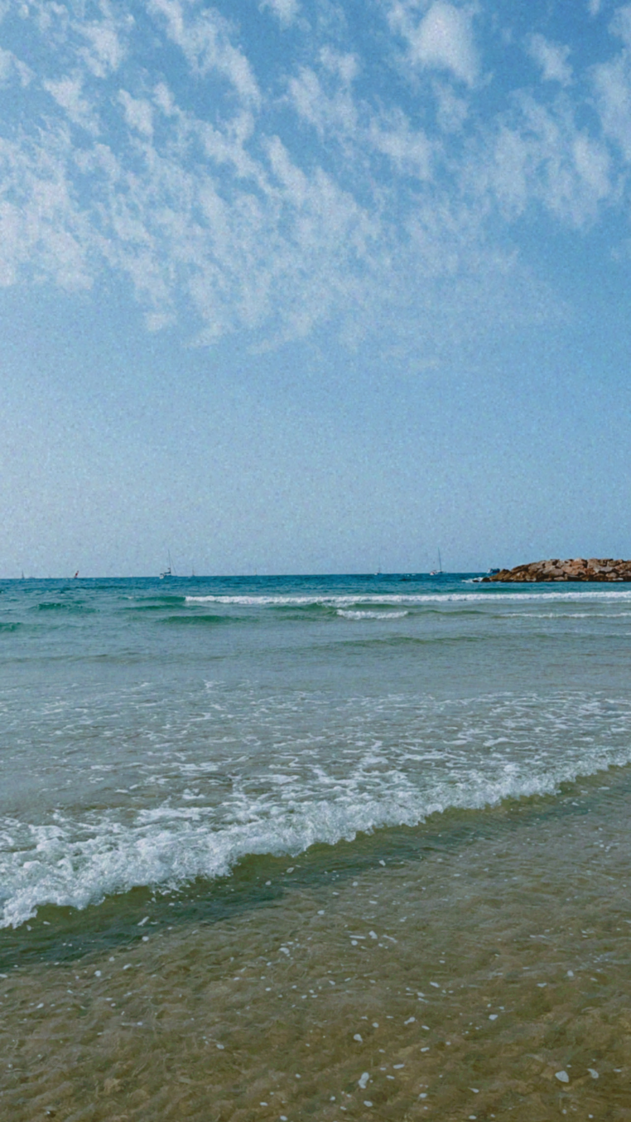 Tuti banner image