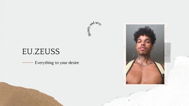 Zeus cover image