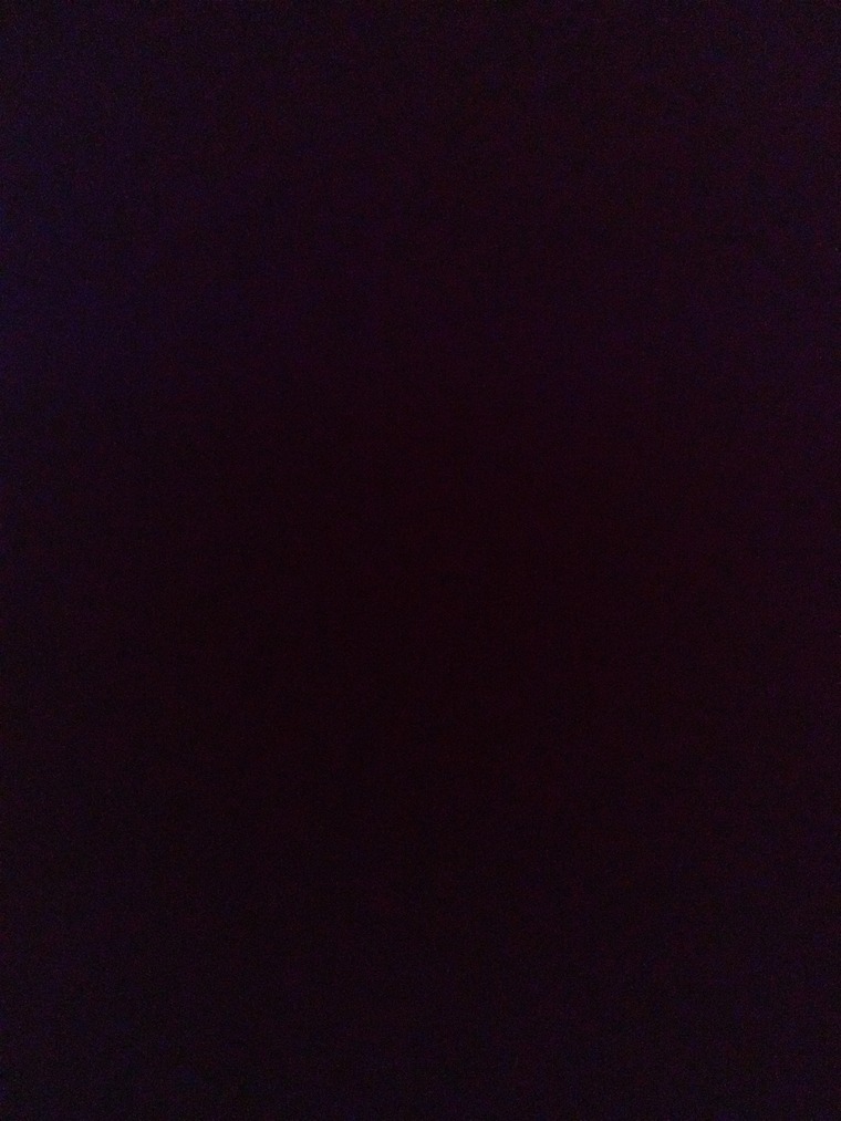 Eugenia banner image