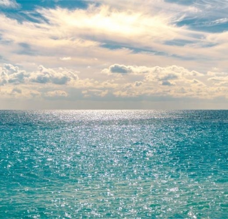 Paradiso banner image