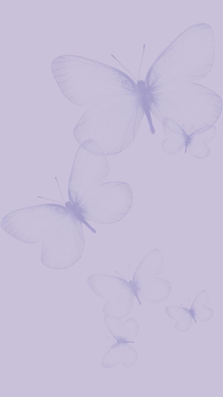 Eva Brito cover image