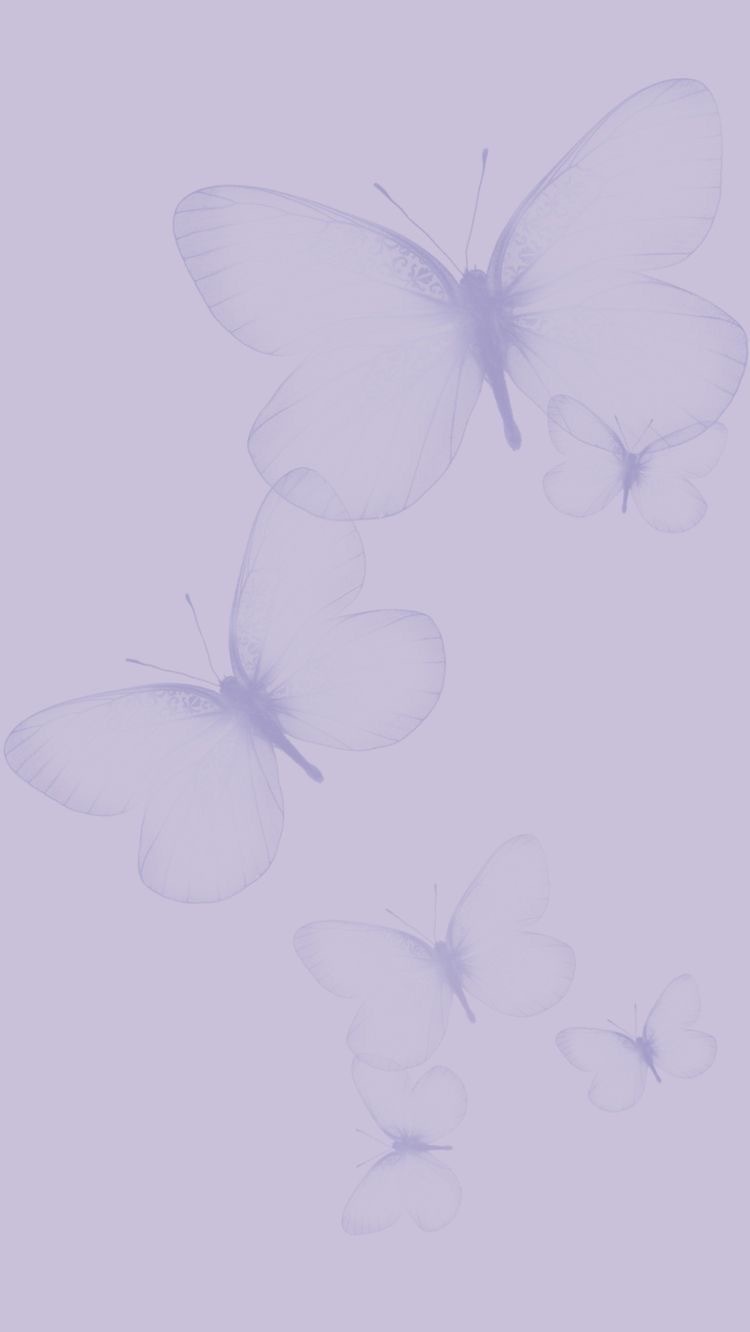 Eva Brito banner image