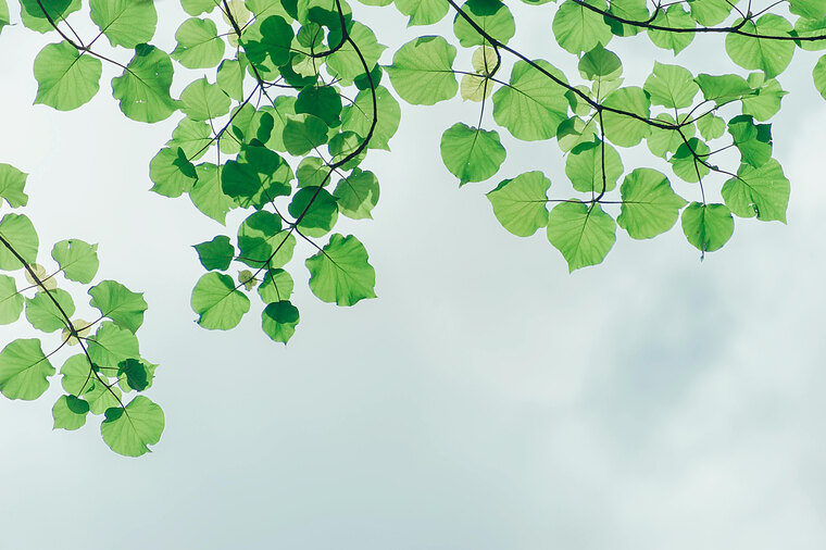 Good girl ❤️ banner image