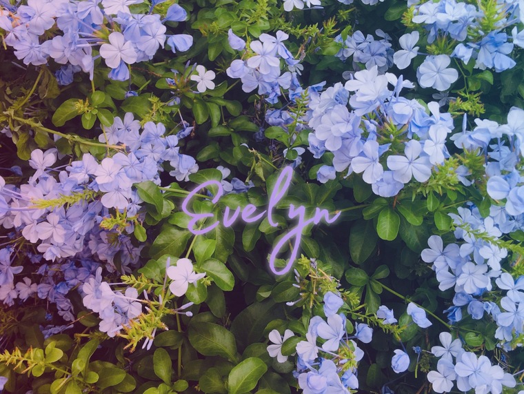 Mala Yerba 🌱 cover image