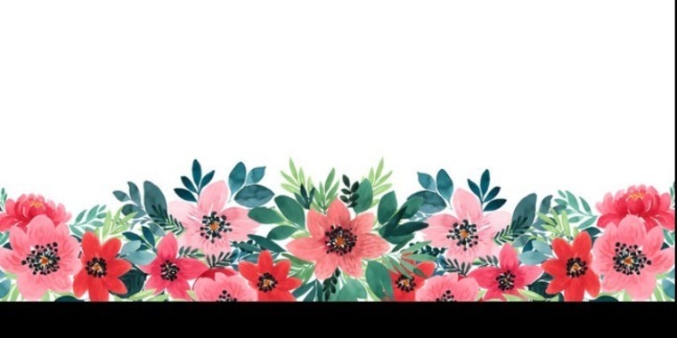Eve Loves Free banner image