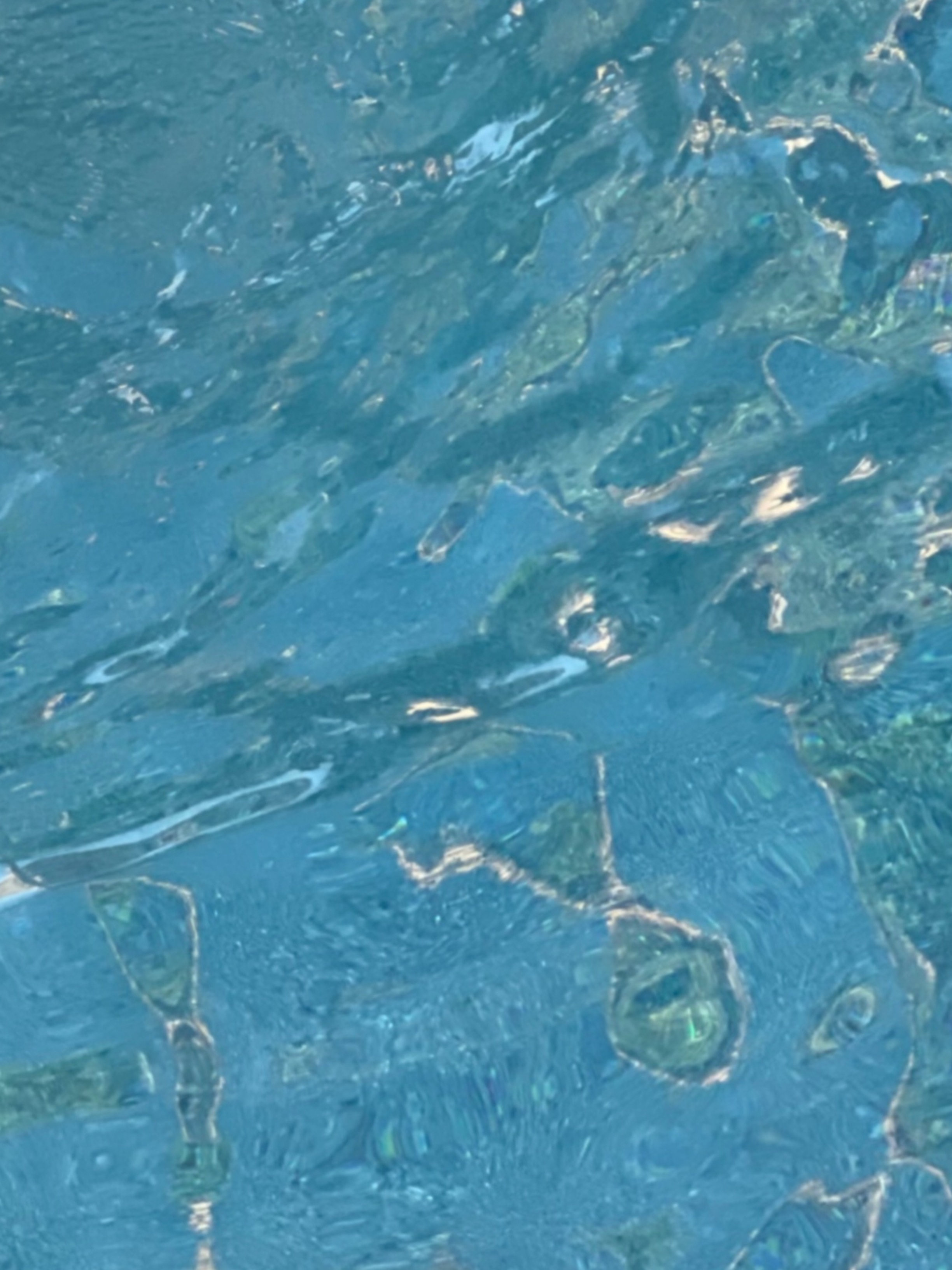 pu$$yfairy π banner image