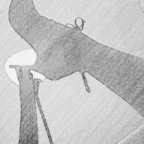 Eve Hart avatar