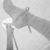 Eve Hart avatar