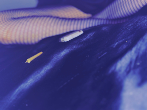 evie cover image