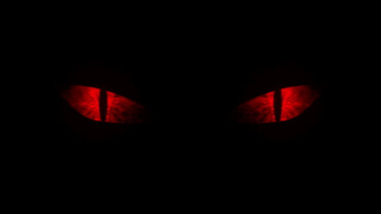 Evil Kittens cover image