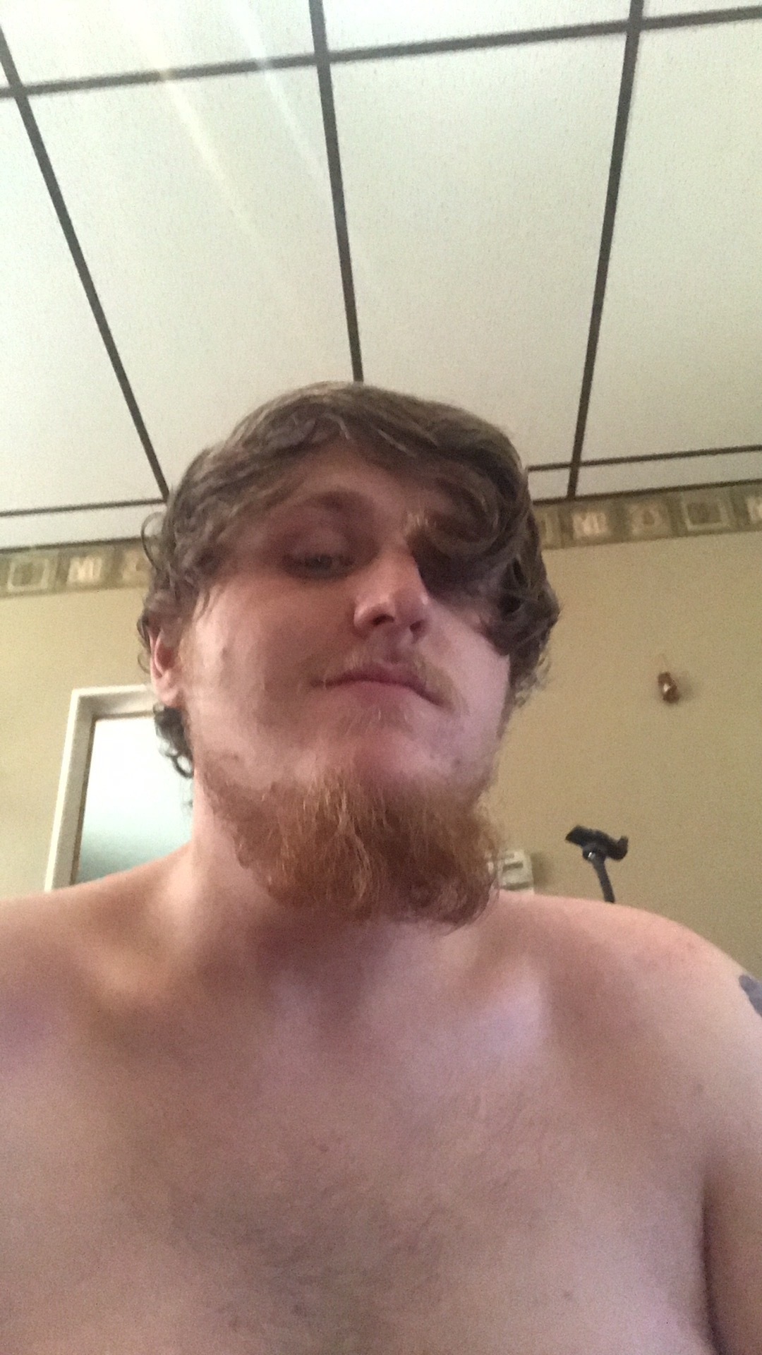 Evil TeddyBear420 banner image