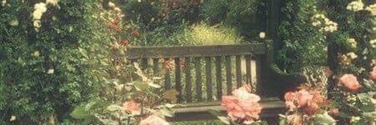 angel x banner image