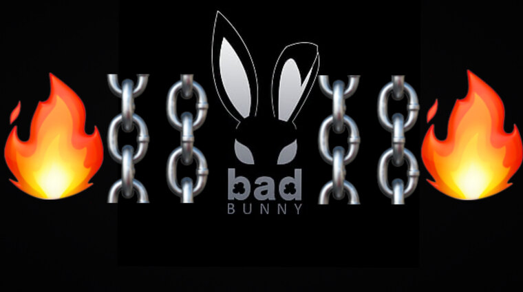 Play bunny cover image