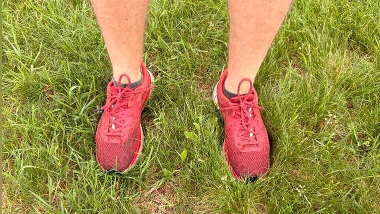 Nature's Feet banner image