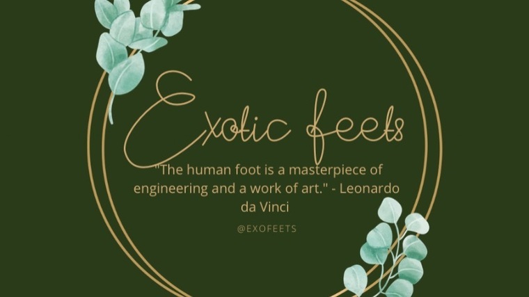 Exotic Feets banner image