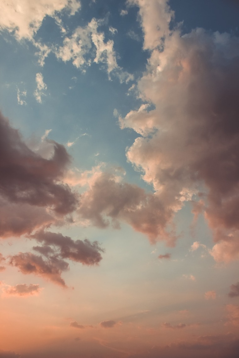 ExoticLife banner image