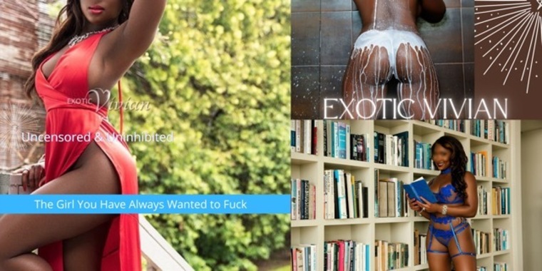 Your Miami Private Dancer banner image