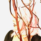 Botanica avatar