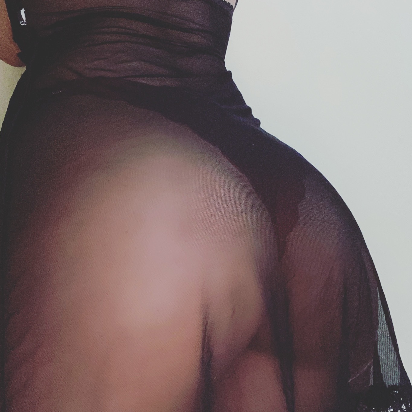 Exotic latina banner image