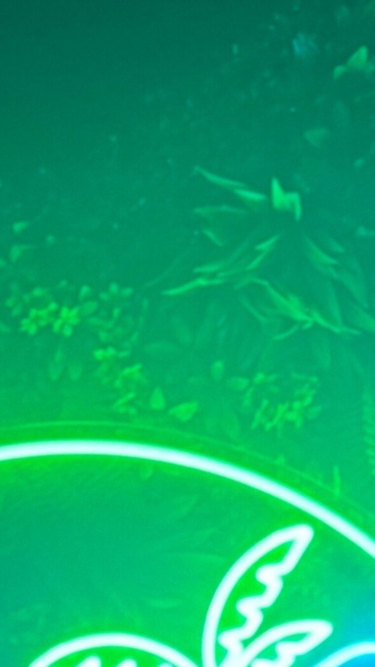 ExoticDaddy banner image