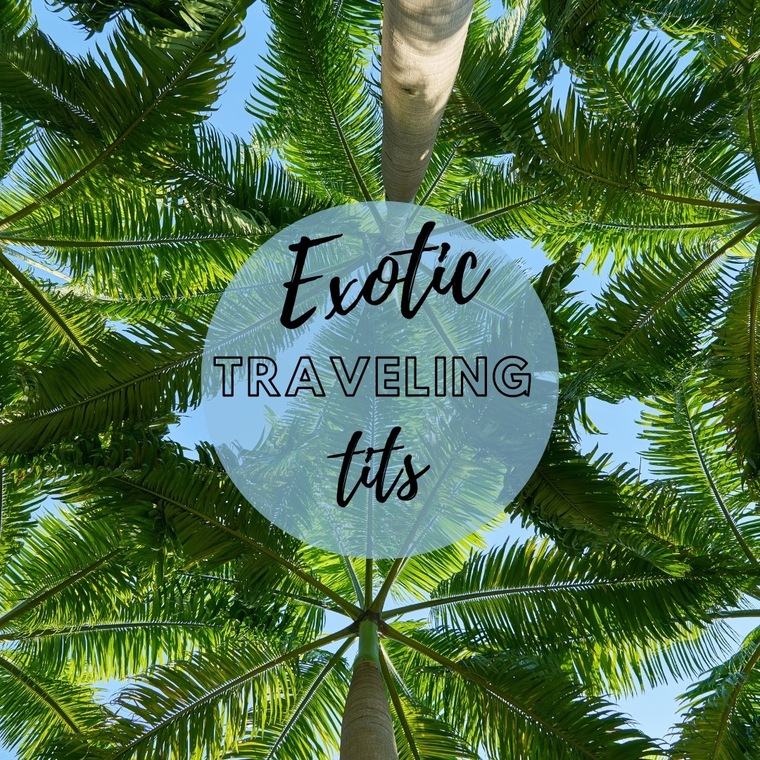 Exotic Traveling Tits cover image