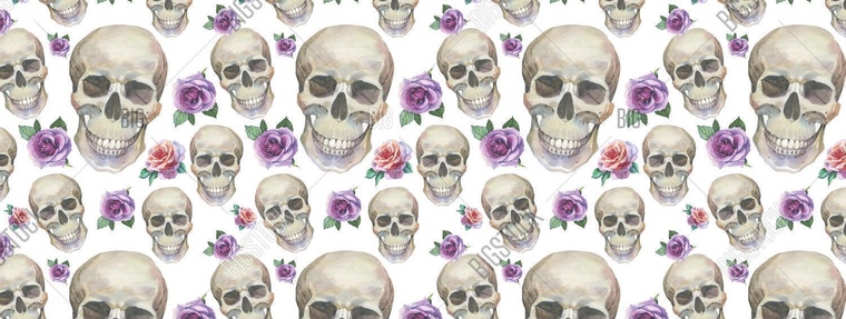Willow Marie cover image