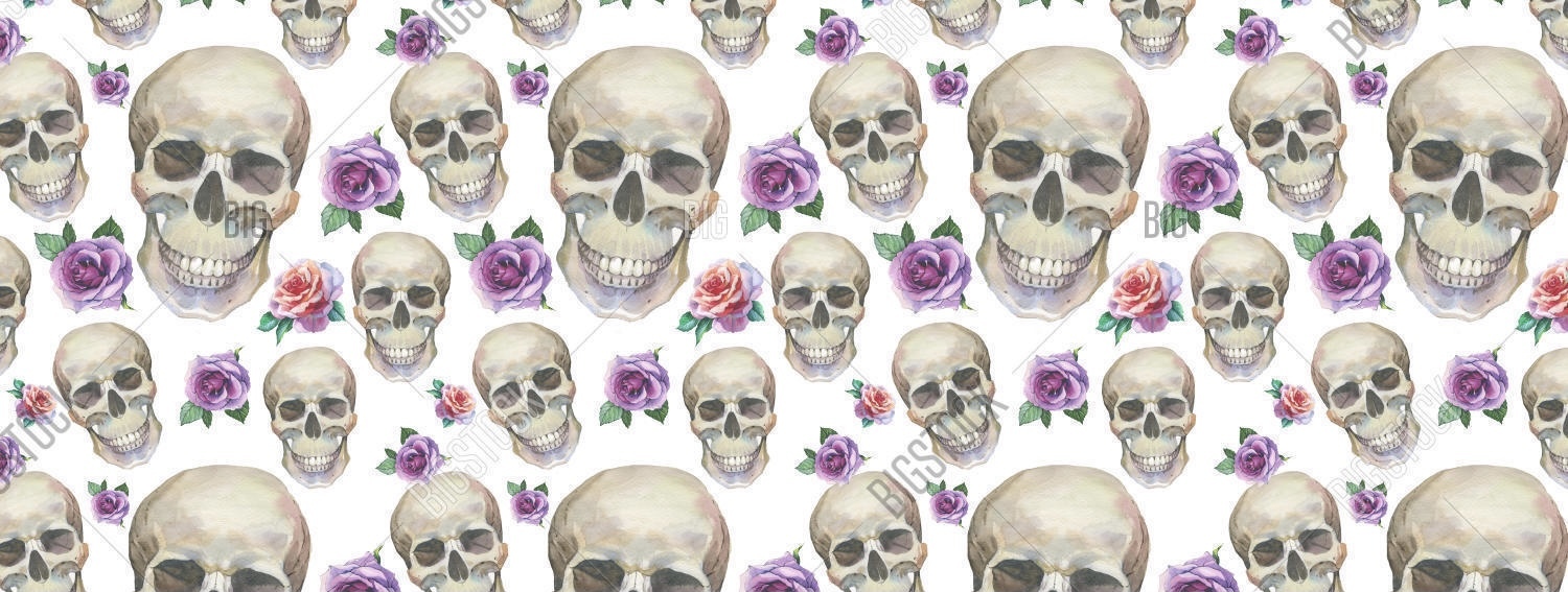 Willow Marie banner image