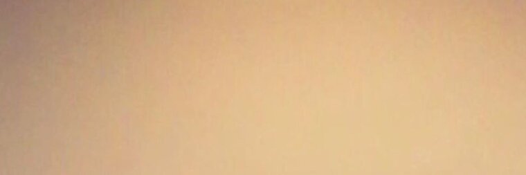 fawn banner image