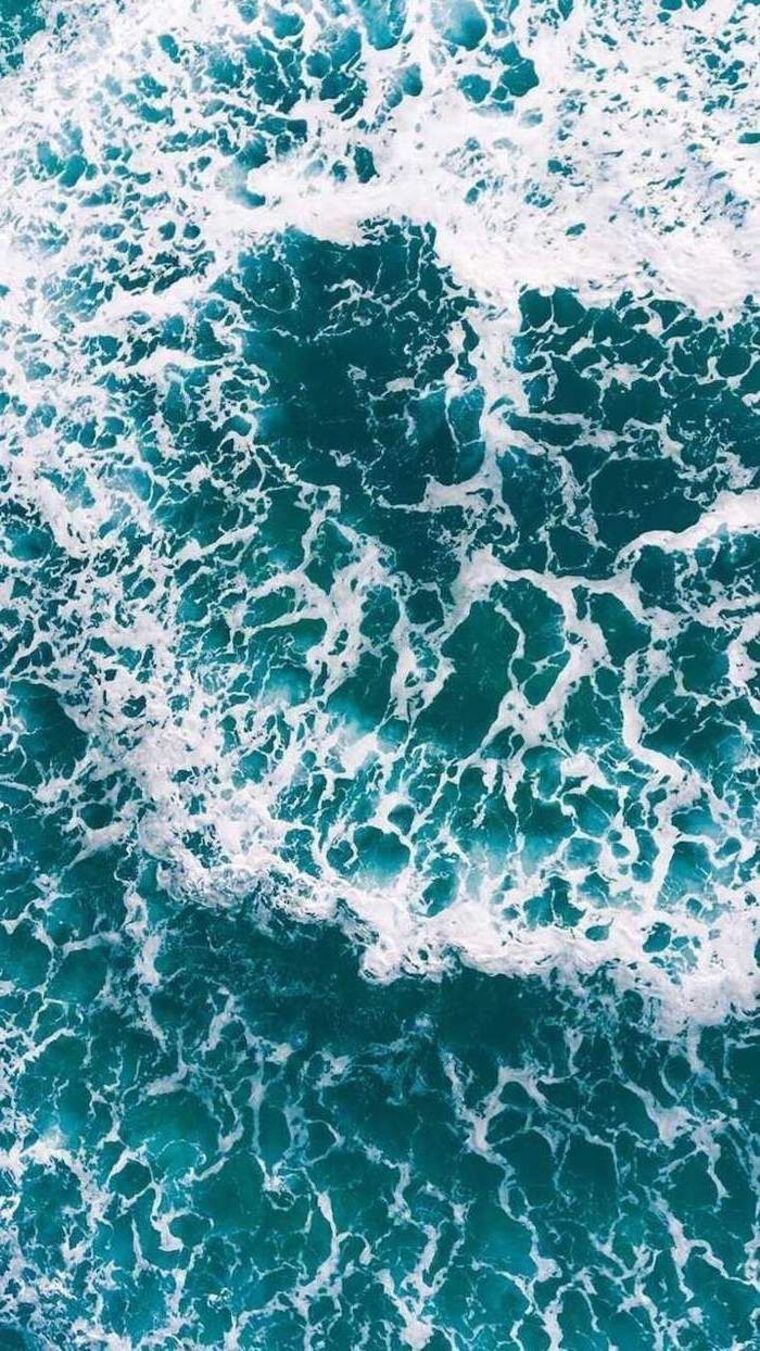 Alexa cover image