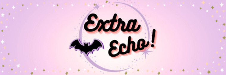 Echo cover image