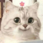 Eybubulle avatar