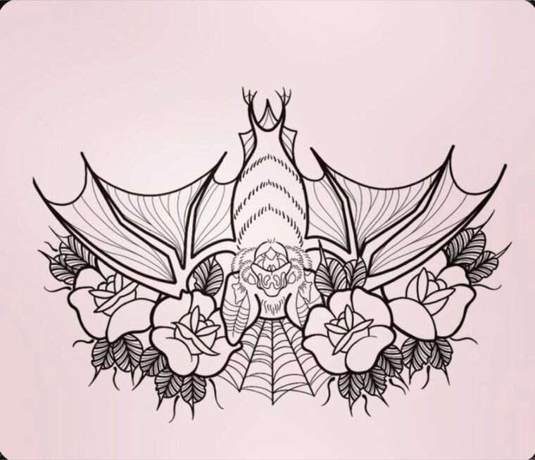 storm banner image