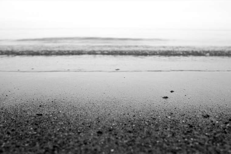 F8_Photography cover image