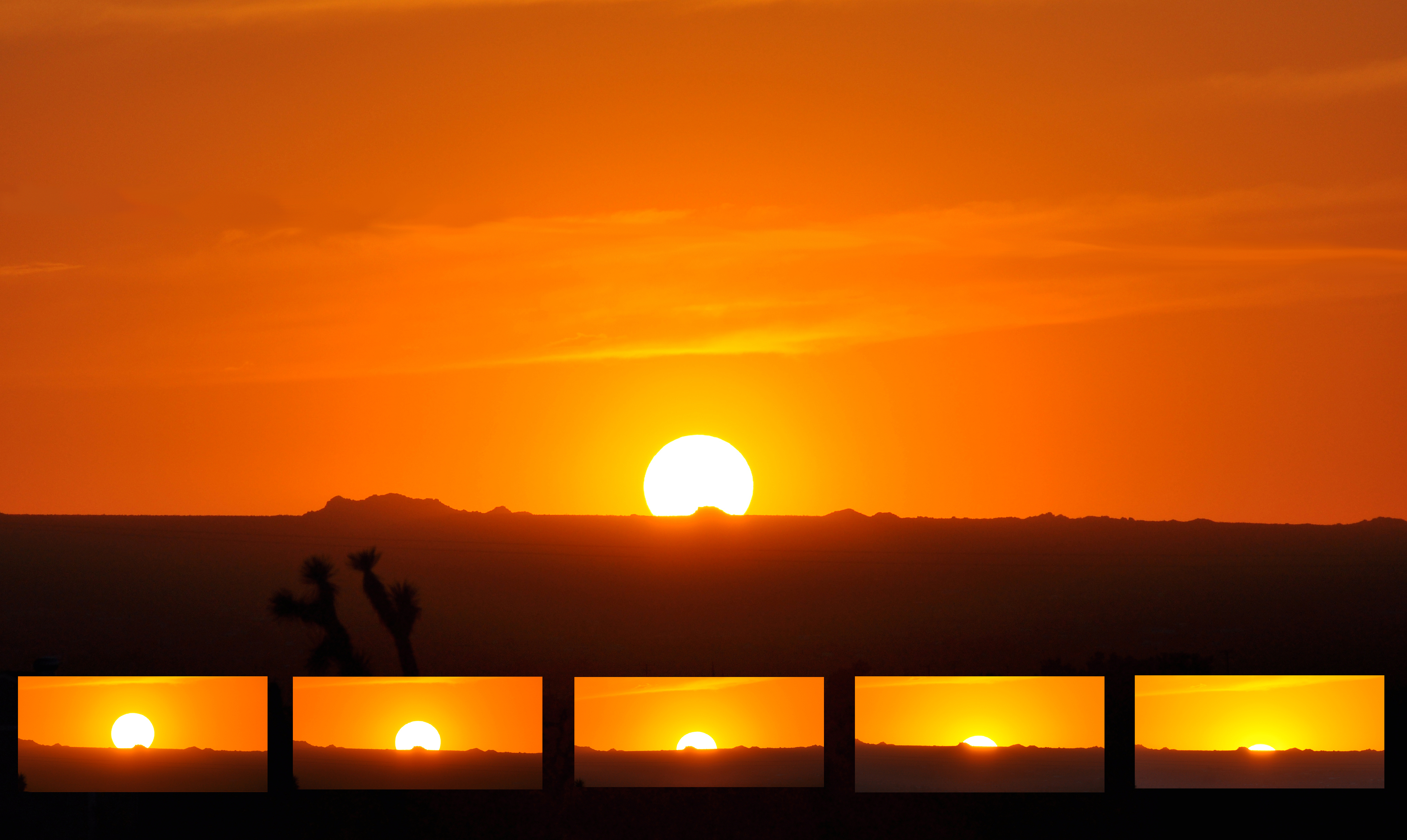 Fabulous Feet banner image