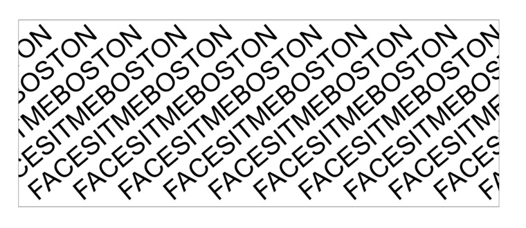 FACESITMEBOSTON cover image