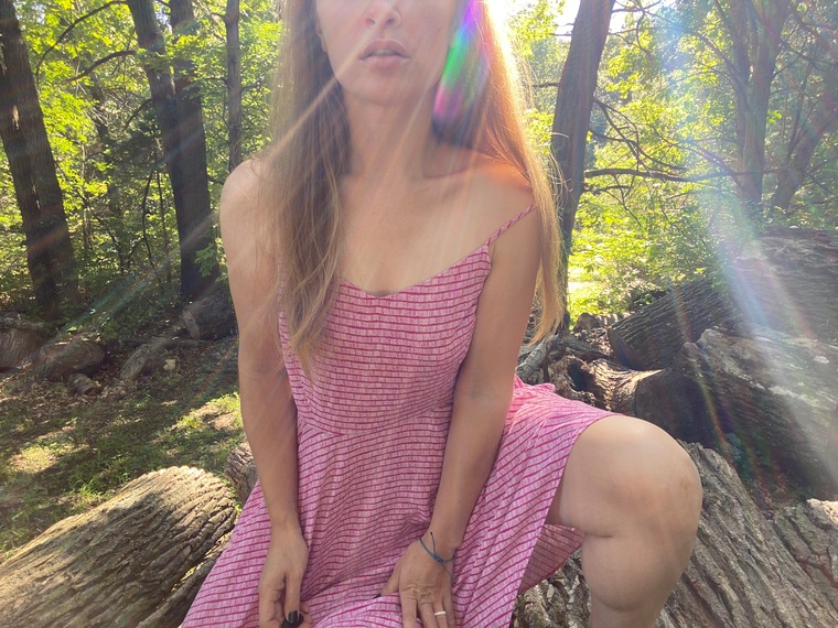 Fae Forest cover image