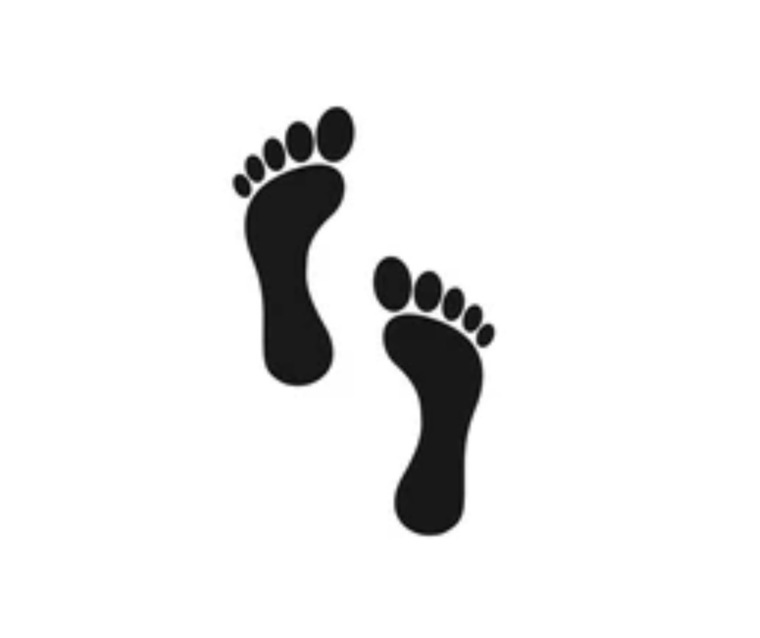 Fair-rose 👣 cover image