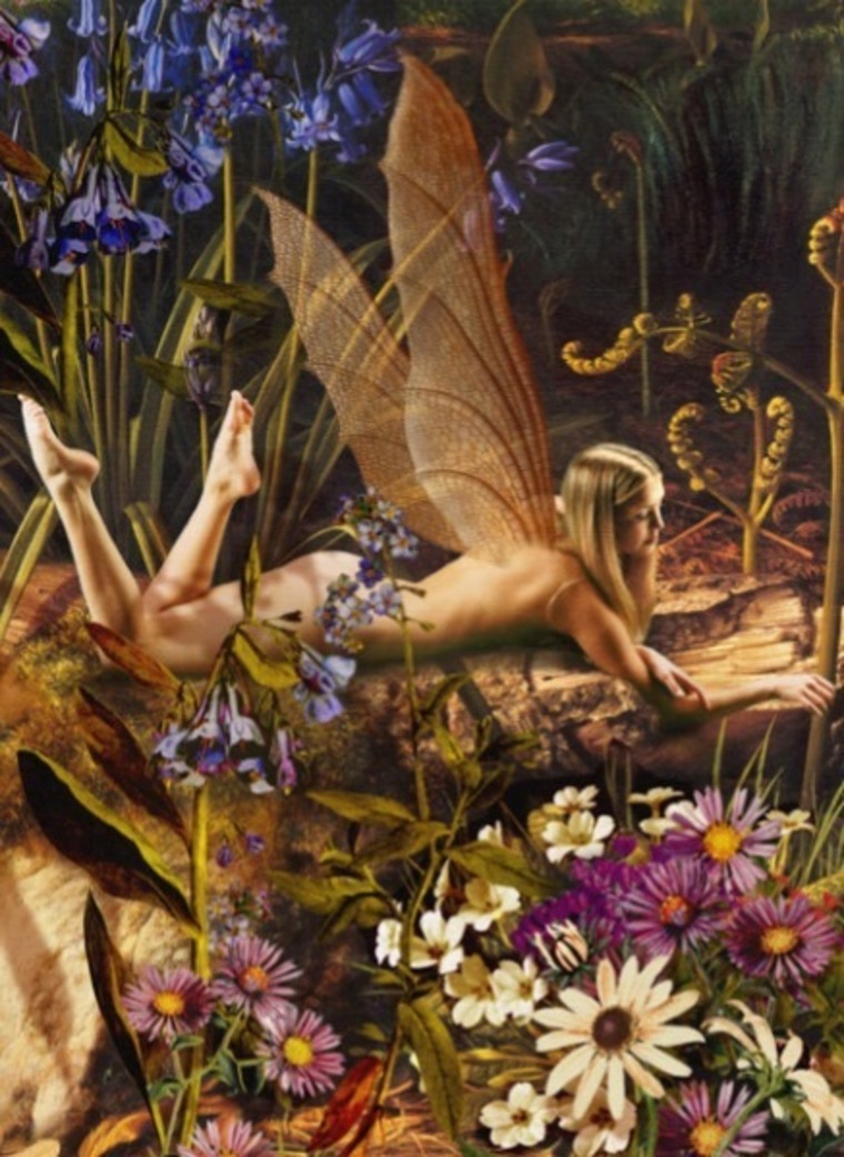 Fairy Feet 🧚🏻‍♂️ cover image