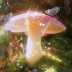 Fairy Feet avatar