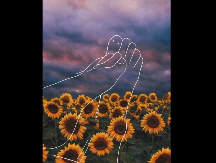 FairyFeet🧚🏻‍♀️ cover image