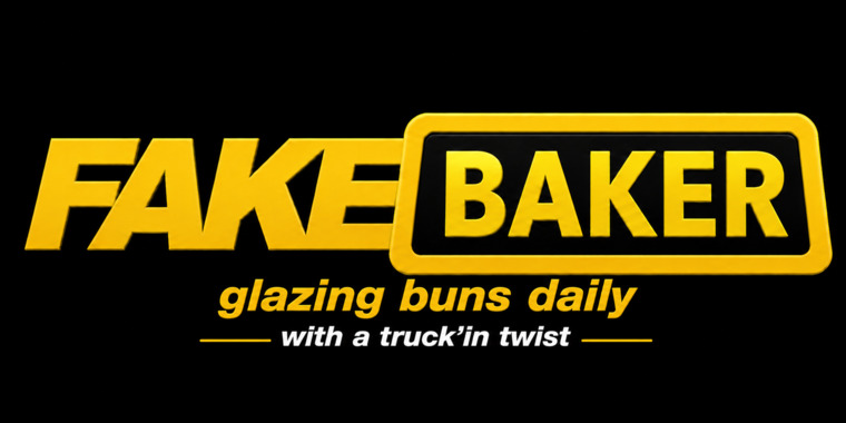 Fake baker cover image