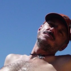fakesixty8 avatar