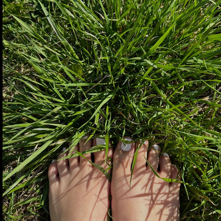 Falcão 💖 cover image