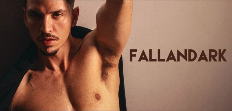 Fallandark cover image
