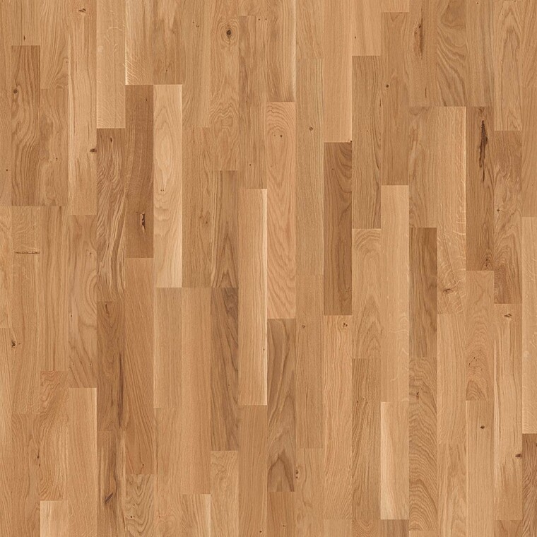 Ellen cover image