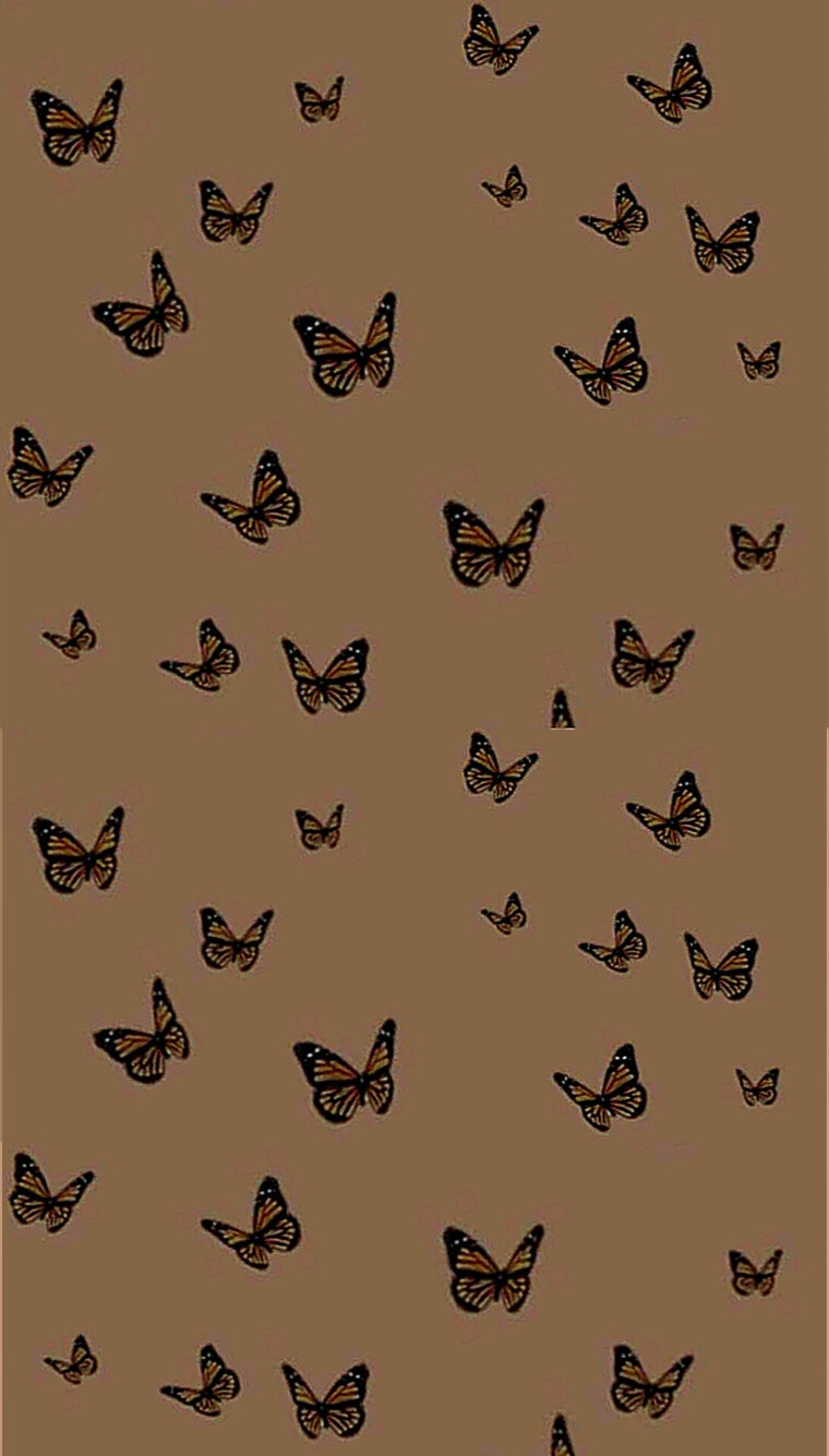 Emilee Rain cover image