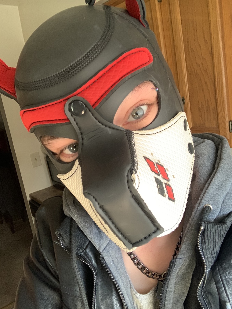 Fallen Pup cover image
